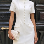 Stand Collar Button Slim Mini Dress